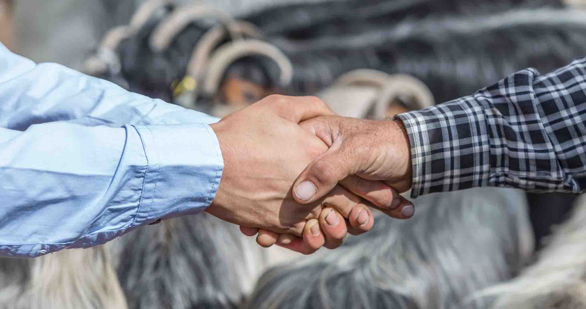 Kudüs'e Kurban Bağışı