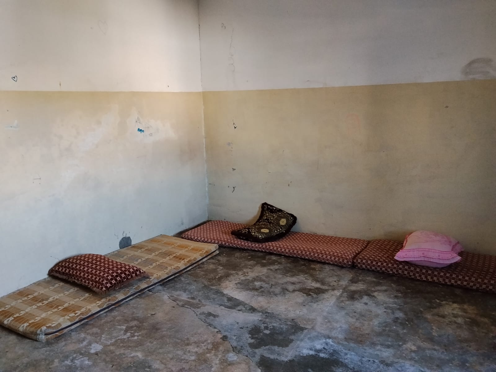 Restorasyon Saha Çalışması 3